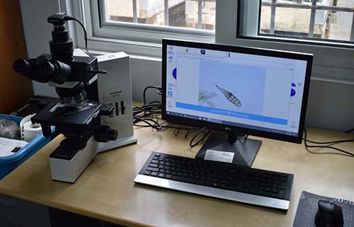 Microscope for phytosanitary control and research - G. Kostelenos Nurseries
